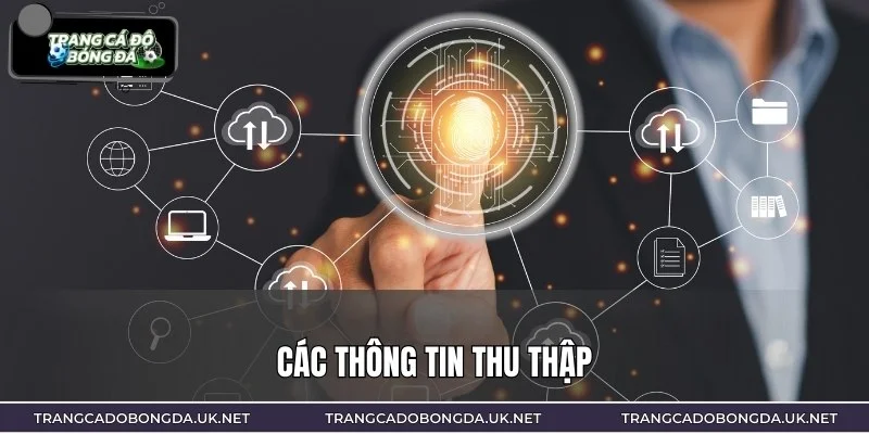 Một số thông tin được thu thập theo chính sách bảo mật